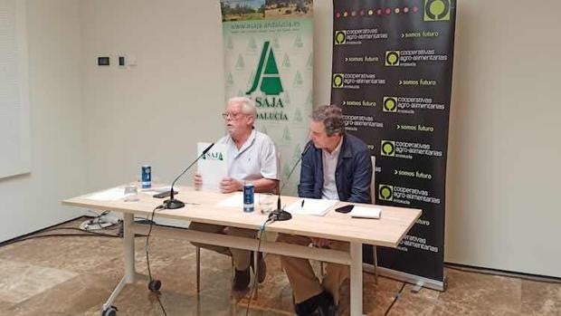 Los agricultores gastan su última bala y piden a Planas que reconsidere una PAC que «maltrata» a Andalucía