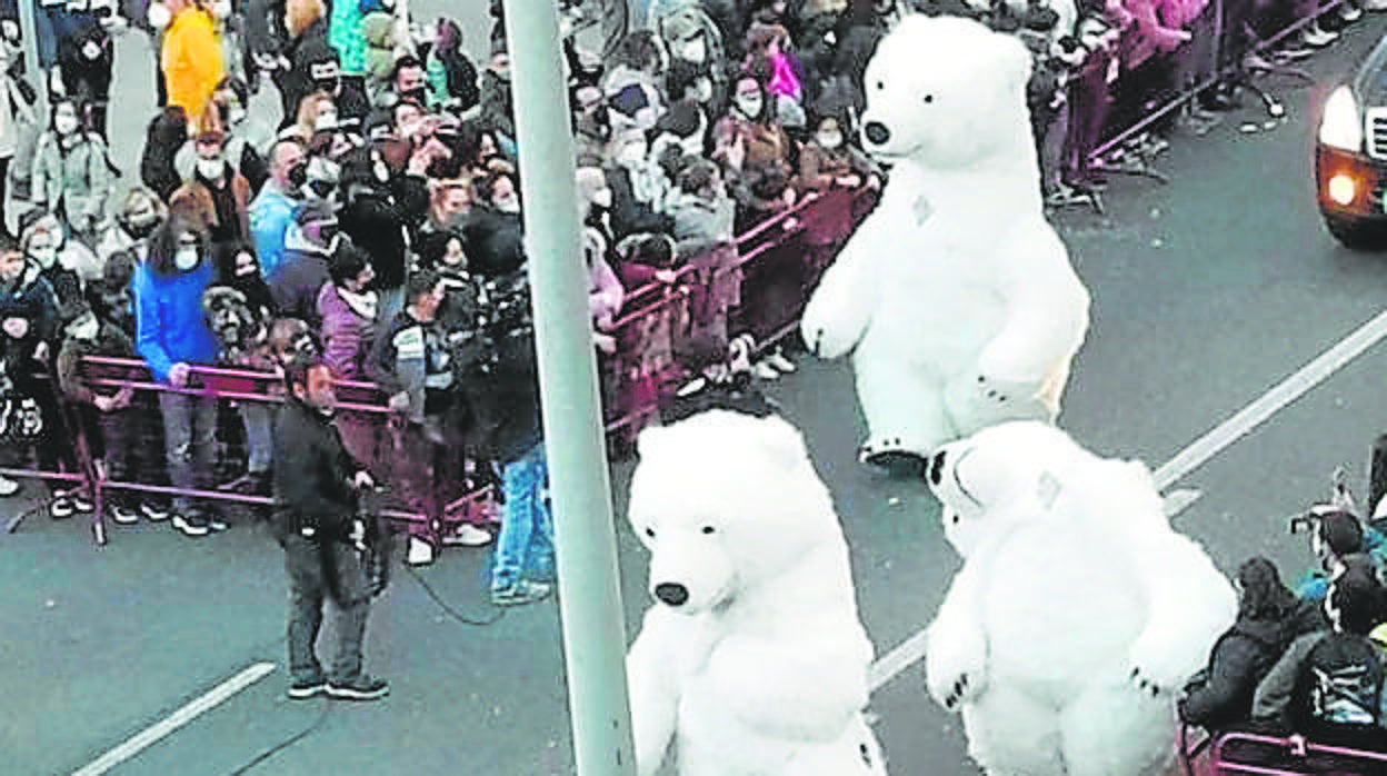 Oso con la cabeza torcida de la Cabalgata de Reyes de Cádiz