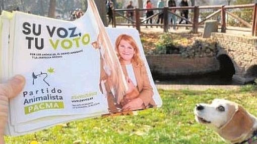 El nuevo Congreso: entre animalistas y «rastafaris»