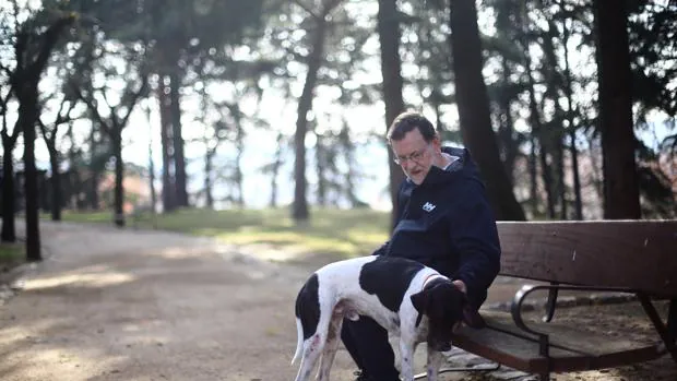 Rajoy, en La Moncloa junto a su perro, en la última jornada de reflexión