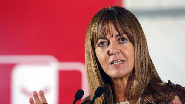 Mendía reivindica el papel del PSE en la historia del País Vasco