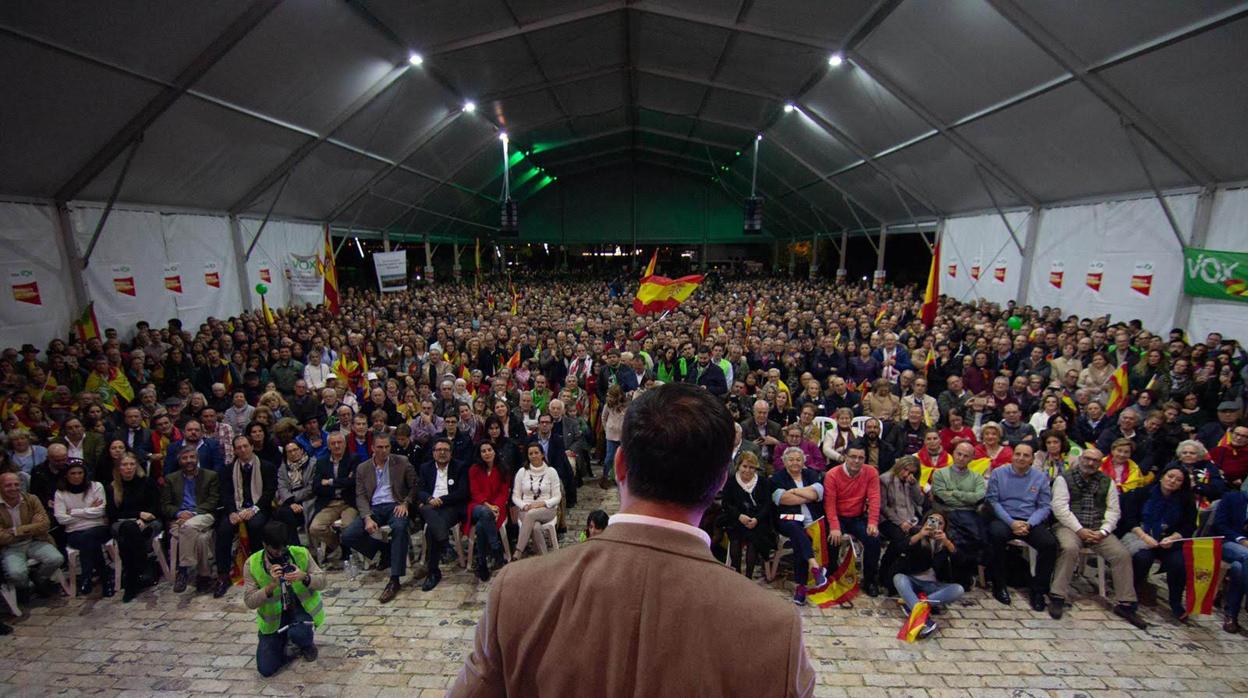 El dirigente de la nueva derecha en el mitin fin de campaña de Sevilla