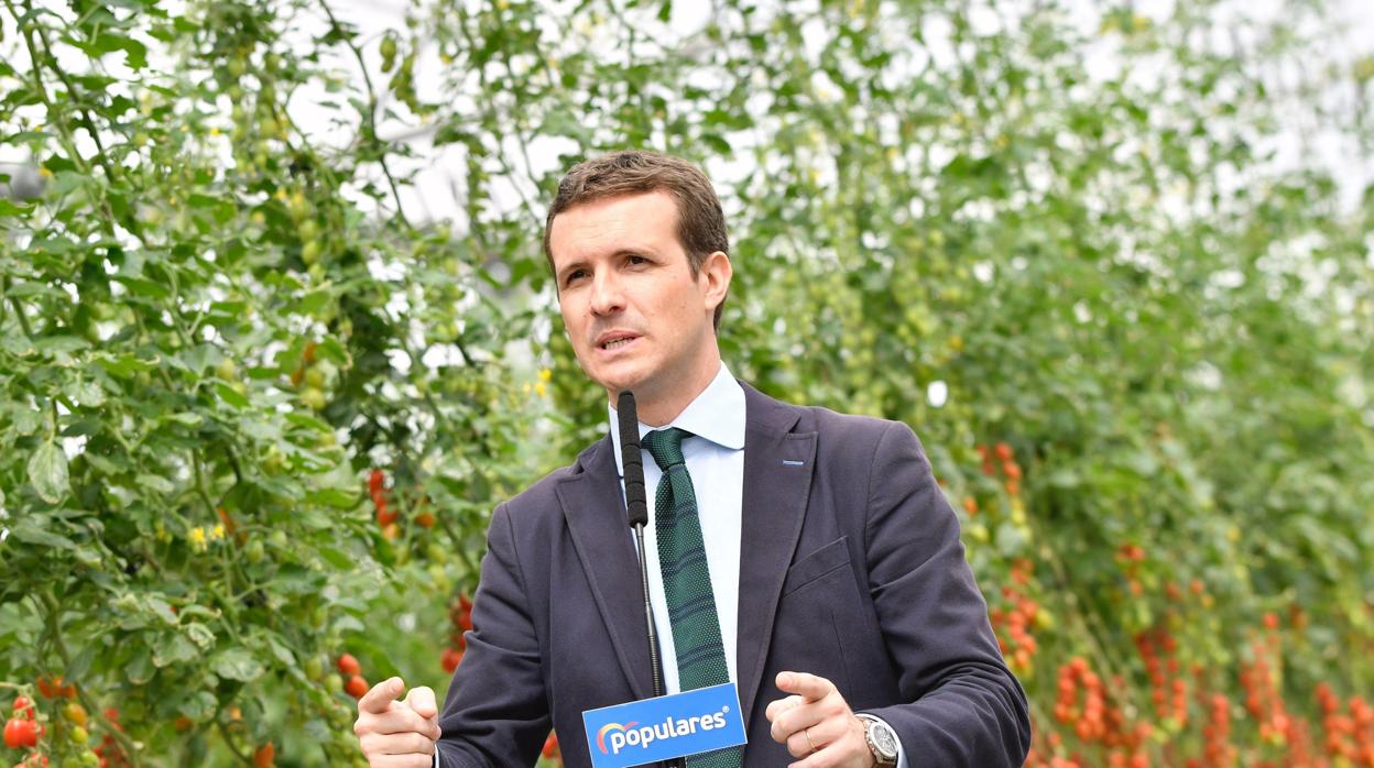 El presidente del PP, Pablo Casado, en un acto preelectoral en Almería