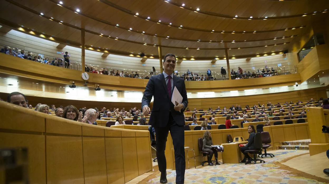 Pedro Sánchez, en el Senado