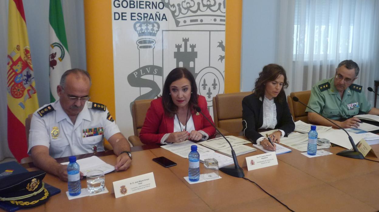 Catalina Madueño, subdelegada del Gobierno, durante la presentación del dispositivo