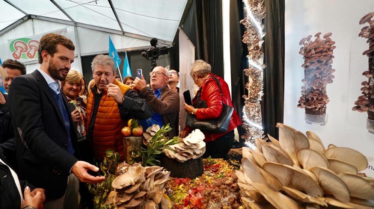 Pablo Casado, en la Fiesta del Champiñón, en Autol