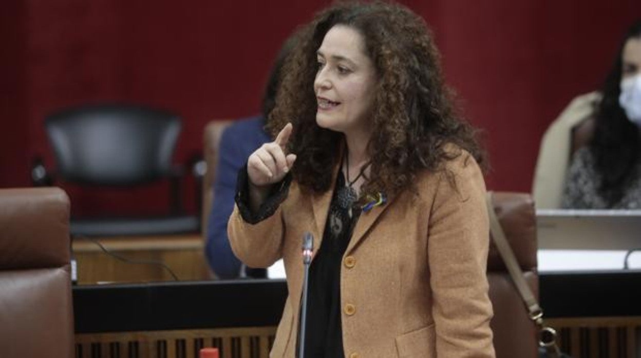 Inmaculada Nieto en el Parlamento andaluz