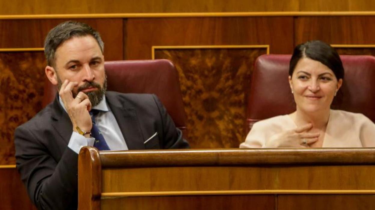 Abascal y Olona, en el Congreso de los diputados