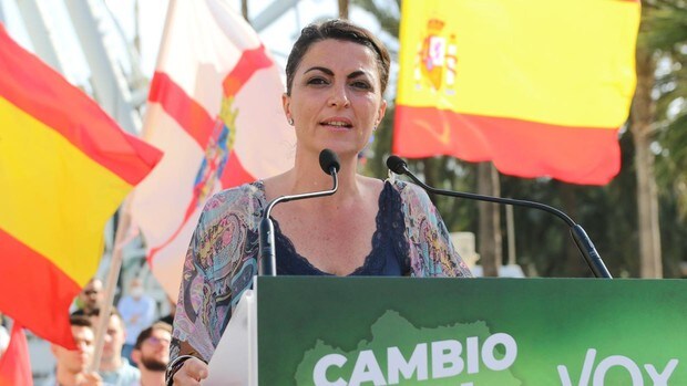 Camarera, relojero o profesora de Secundaria: descubre cuál ha sido la vida laboral de los candidatos a la Presidencia de la Junta de Andalucía