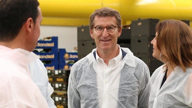 Mensaje de Núñez Feijóo a Espadas: «Si al PSOE le molesta tanto VOX, que lo acredite»