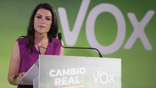 Vox se desinfla en los barrios de Sevilla que fueron sus «graneros» de votos
