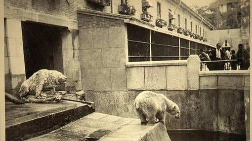 Escultura del oso de la fuende de la Cibeles en la Casa de Fieras del Retiro, en 1958