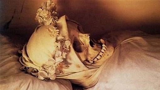 «Extrañas criauturas», en el Museo Nacional de Ciencias Naturales