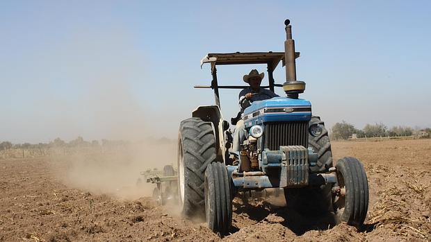 Un tractor ara la tierra