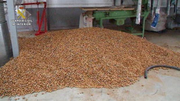 Detienen a 52 personas por el robo de 24.000 kilos de almendras