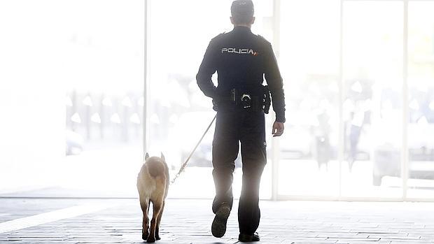 Un policía patrulla por la estación Joaquín Sorolla de Valencia