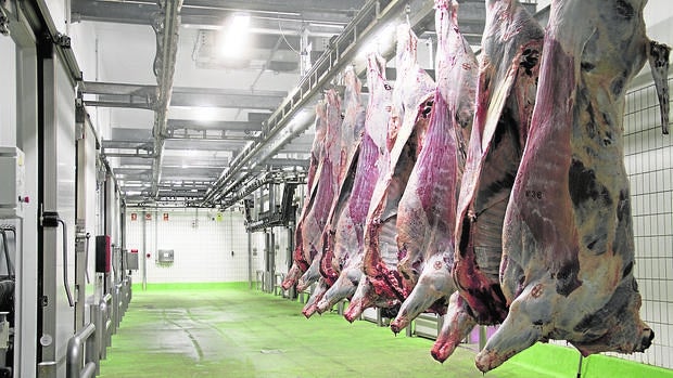 Imagen del interior de las instalaciones del matadero ecológico de Mercavalencia, que recibió la certificación el 23 de octubre