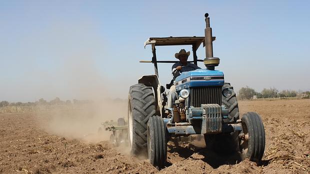 La agricultura es el sector donde más bajó el paro