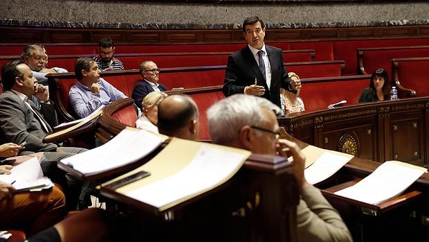 Fernando Giner, durante una intervención en el Ayuntamiento