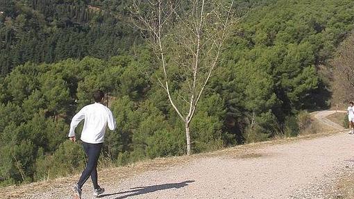 La carretera de les Aigües, cinturón verde de Barcelona