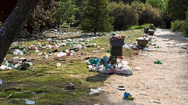 El campus de la Complutense después de un botellón