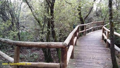 El Parque Nacional de Cabañeros, un lugar privilegiado