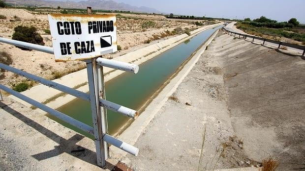 Imagen del trasvase Tajo-Segura en la Vega Baja