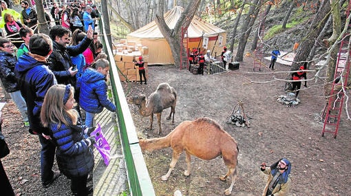 Campamento de los Reyes en Alcoy