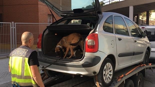 Un agente canino inspecciona el vehículo