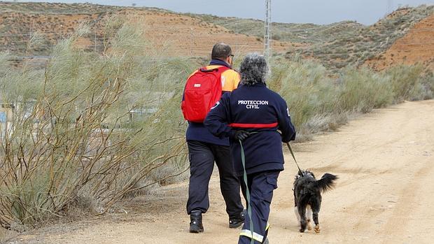 La búsqueda se realiza con perros en las cercanías de Azucaica