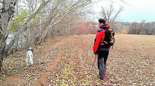 Un bombero rastrea con un perro una zona cercana al río Tajo