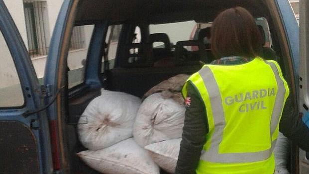 Camioneta cargada de sacos con aceitunas