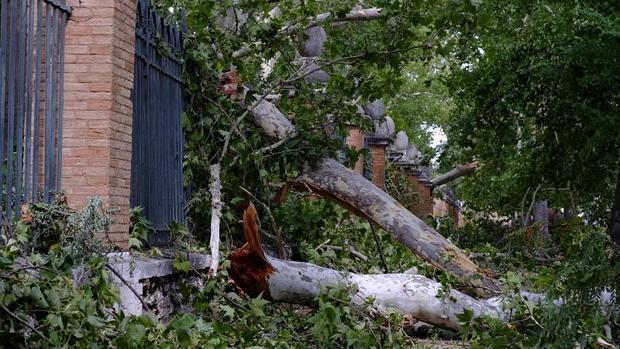 Destrozos en Aranjuez, provocados por la tormenta de octubre