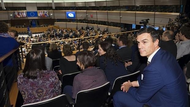 Pedro Sánchez cree «insultante» que Rajoy no hable en el Congreso antes del Consejo Europeo