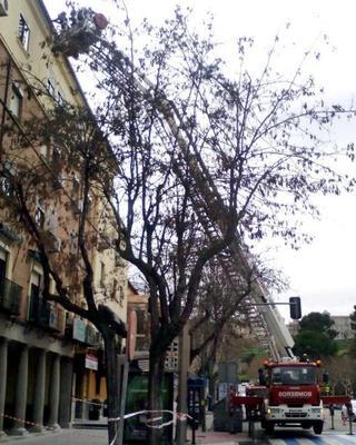 Los bomberos, en la avenida de la Reconquista