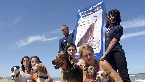 Imagen de una campaña a favor del acceso de los perros a las playas