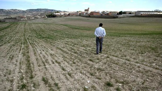 El campo aragonés sigue lastrado por la falta de relevo generacional