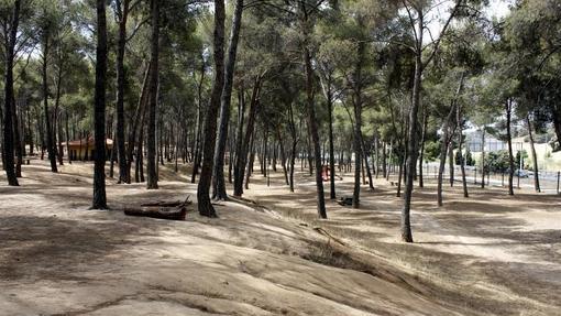 Los Pinos, uno de los sitios más típicos de Toledo para pasar un día en el campo