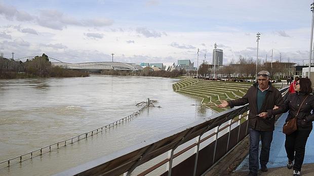 Aspecto que presenta el Ebro a su paso por Zaragoza capital, donde la punta de la crecida legará este miércoles