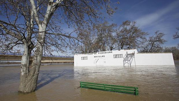 Tierras inundadas por el Ebro, este martes, en el municipio zaragozano de Novillas