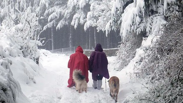 Dos peregrinos, junto a sus perros, en febrero en el Camino Primitivo en A Fonsagrada (Lugo)