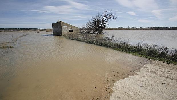 Los pueblos ribereños del Ebro se preparan para la segunda riada en quince días (en la imagen)