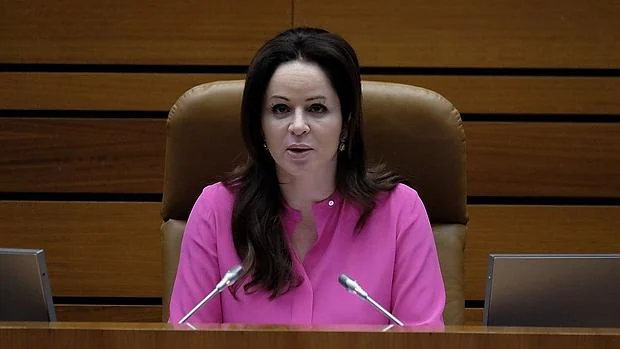 La presidenta de las Cortes de Castilla y León, Silvia Clemente