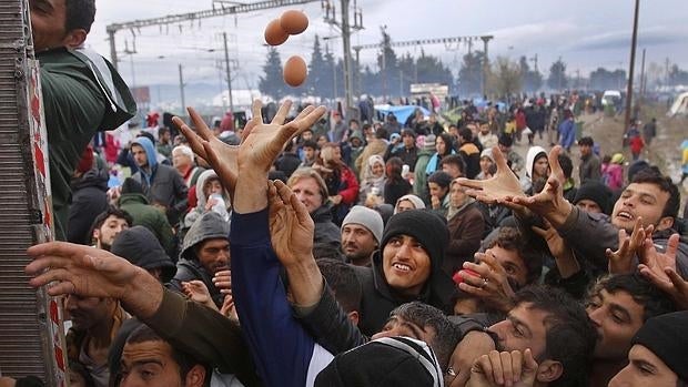 Refugiados tratan de conseguir comida de un camión en Idomeni, Grecia