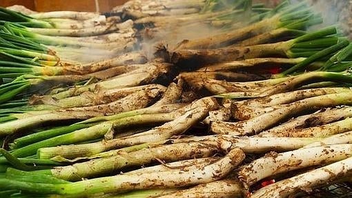 Una calçotada popular