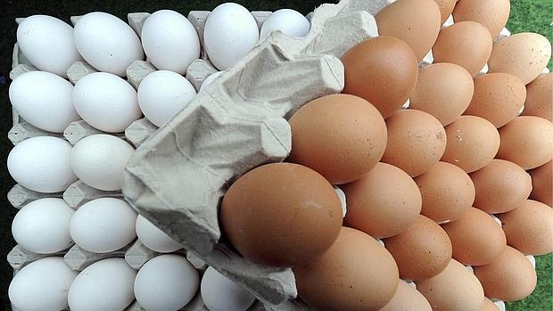 La mala manipulación de huevos en la preparación de comidas es una de las mayores causas de brotes epidémicos en Aragón por infecciones bacterianas de Salmonella