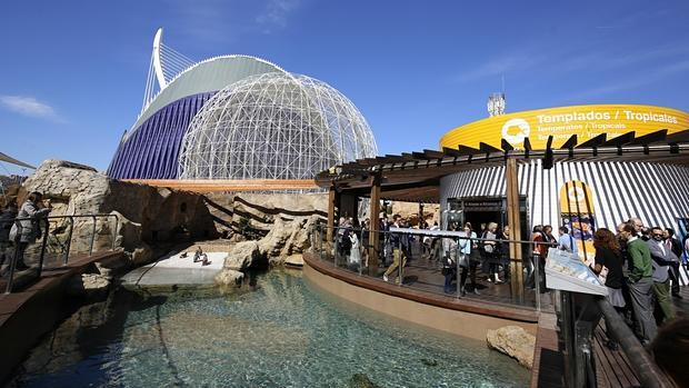 El Oceanogràfic bate récord de visitantes en Semana Santa desde su apertura