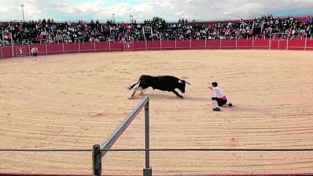 El PSOE de Coslada «da la puntilla» a los toros con dinero público