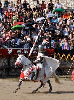 El Festival Medieval de Hita gana el Premio Álvar Fáñez del Camino del Cid