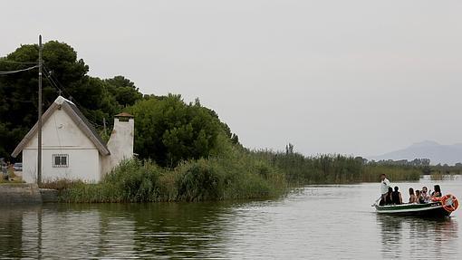 Vista de un paseo en barca por La Albufera